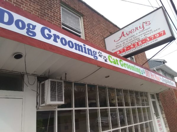 Avery's Pet Grooming Salon - Avery's 