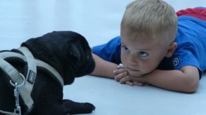 Little Boy Staring at Puppy
