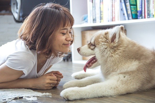 You Can Speak To Your Pet