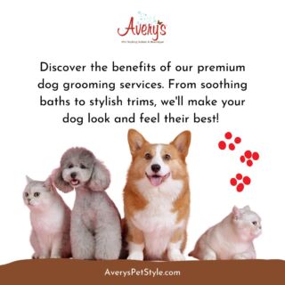 Avery sales pet grooming